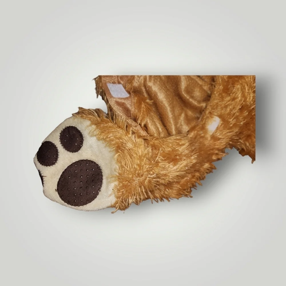 No brand baby lion
